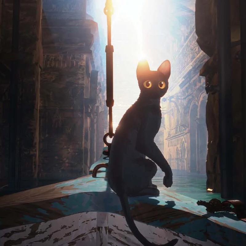 Flow, le chat qui n&rsquo;avait plus peur de&nbsp;l&rsquo;eau